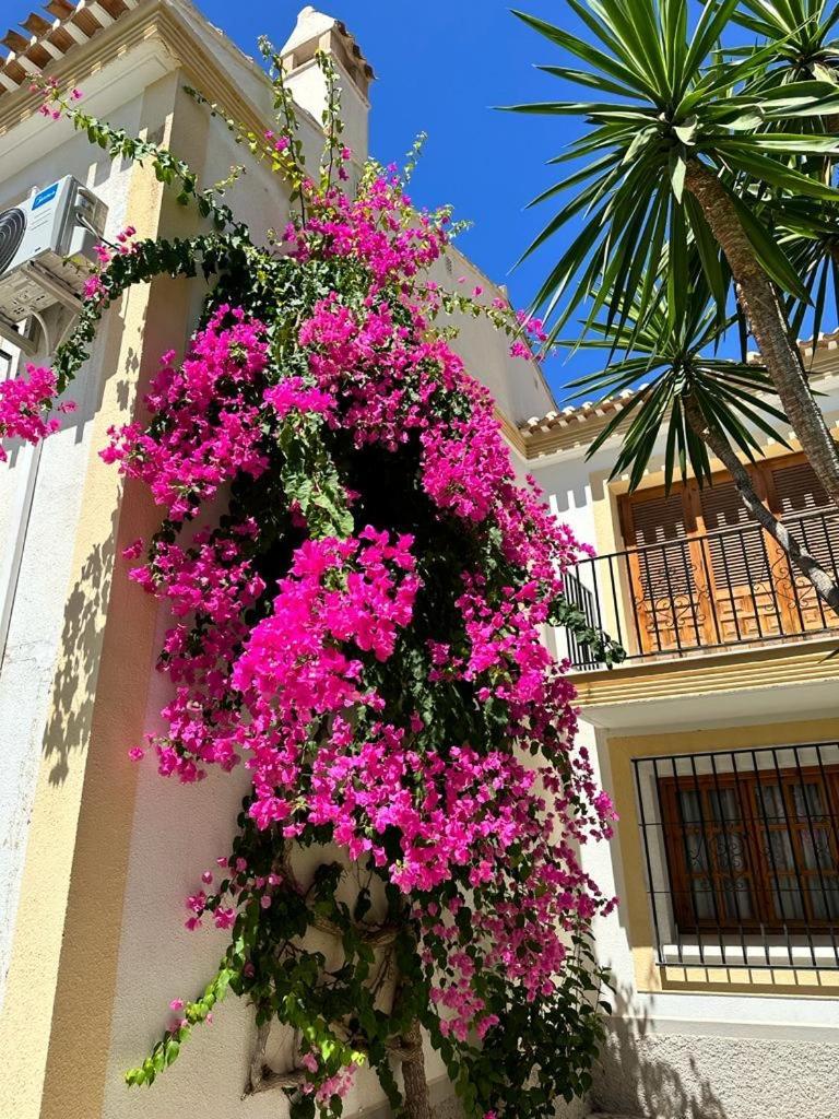 Casa Veratense Vera Playa Playas de Vera Zewnętrze zdjęcie