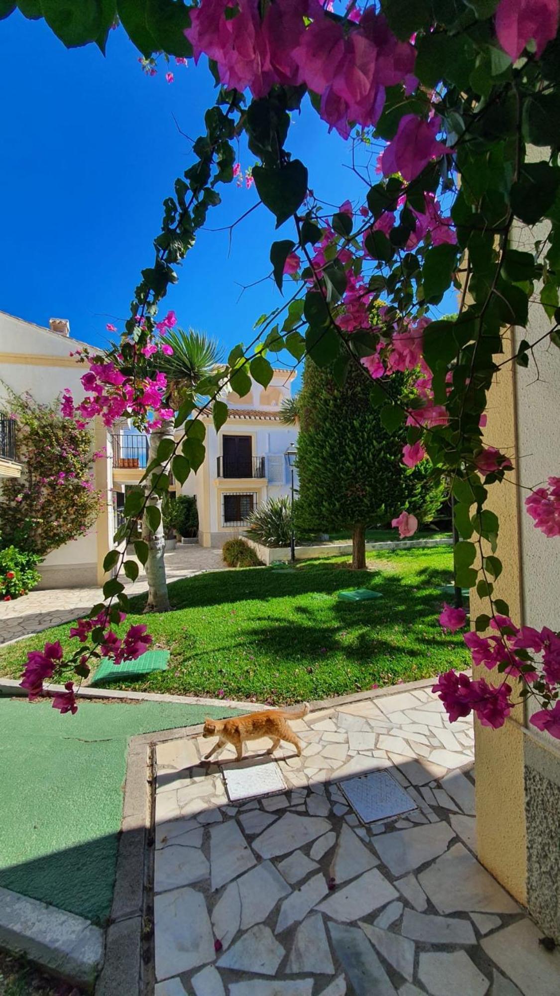 Casa Veratense Vera Playa Playas de Vera Zewnętrze zdjęcie